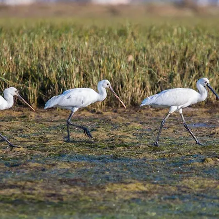 Casa Flor De Sal منزل ريفي