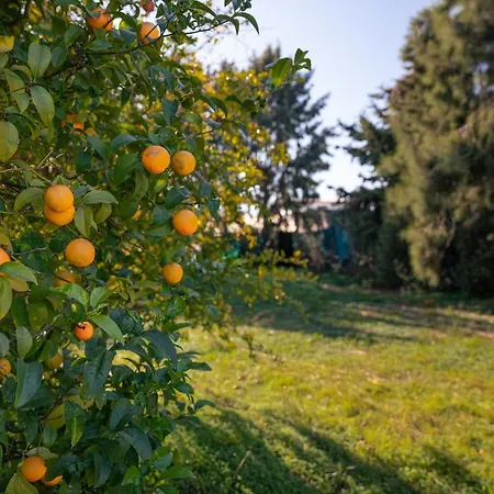 Casa Flor De Sal مونكاراباشو