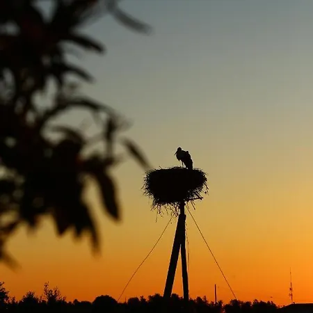 منزل ريفي Casa Flor De Sal