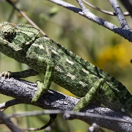 Séjour à la campagne Casa Flor De Sal